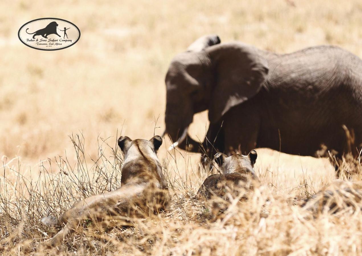 فيلا Baker Safari Company Kwangwazi المظهر الخارجي الصورة